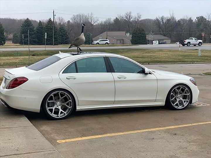 Earl's Tire West Tire Shop Clive, IA